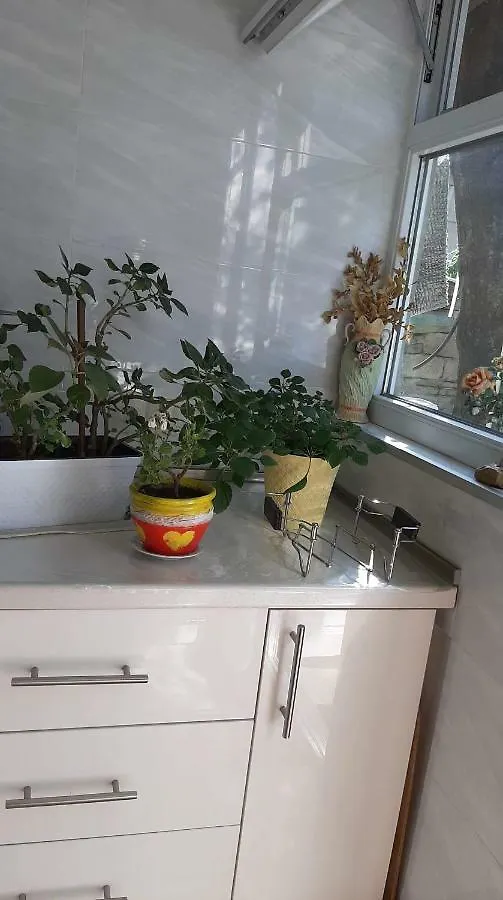 Апартаменты Newly Renovated House Тбилиси