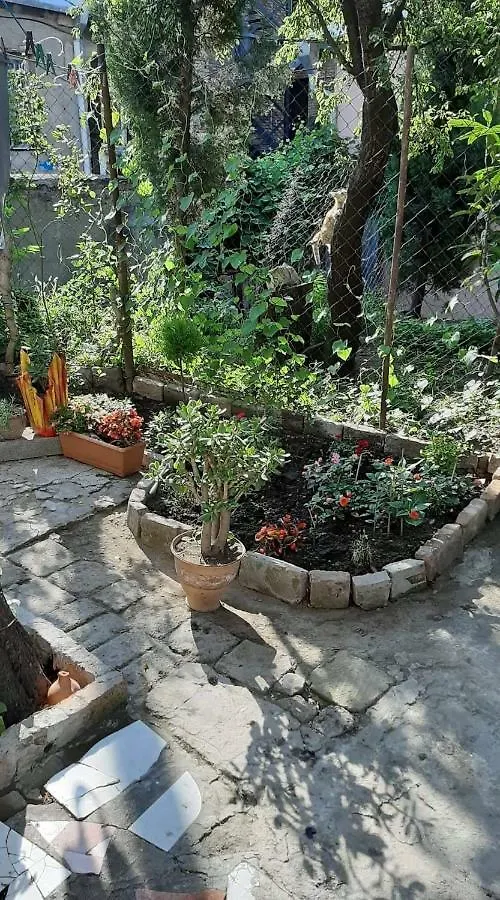 Апартаменты Newly Renovated House Тбилиси Грузия