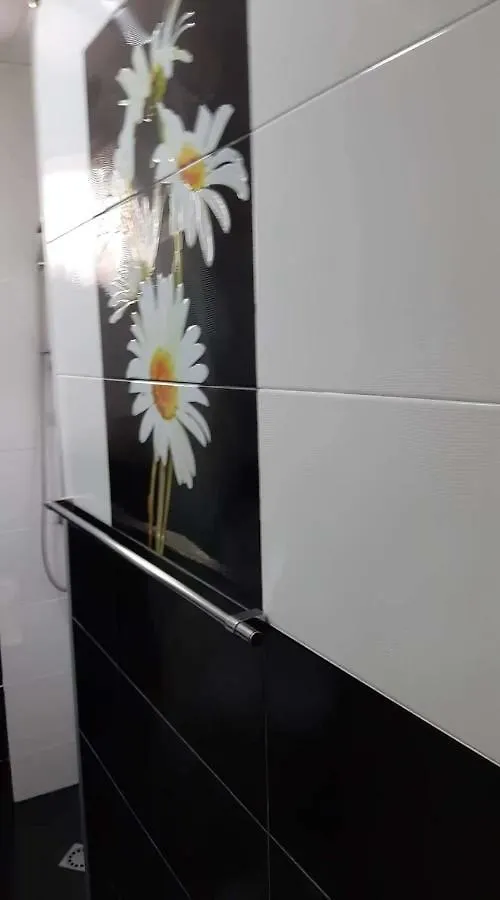 Апартаменты Newly Renovated House Тбилиси 0*,  Грузия